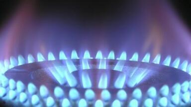 What's the Best Waste to Use for Biogas? - Chromatography Investigates
