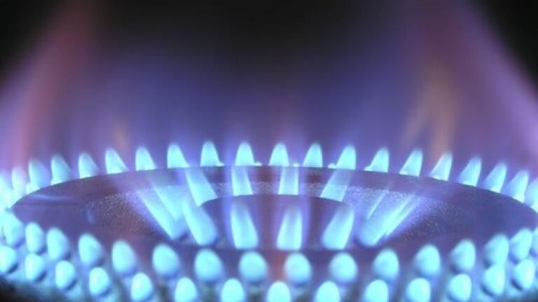 What's the Best Waste to Use for Biogas? - Chromatography Investigates