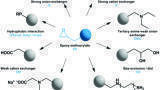 New Robust Hydrophilic Macroporous Methacrylic Resins Introduced