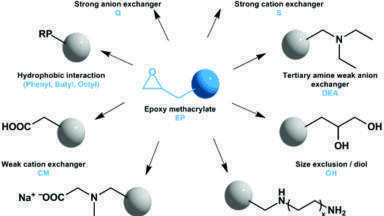 New Robust Hydrophilic Macroporous Methacrylic Resins Introduced