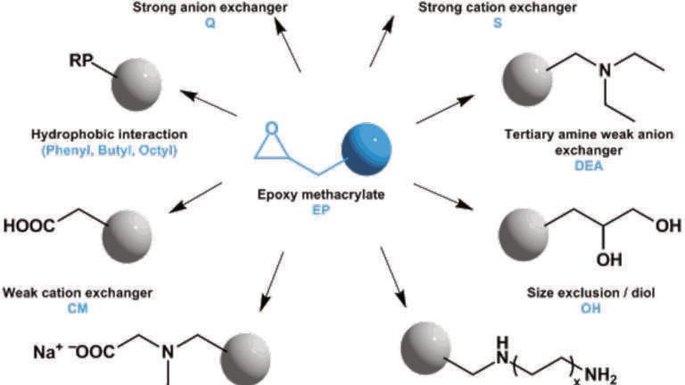 New Robust Hydrophilic Macroporous Methacrylic Resins Introduced