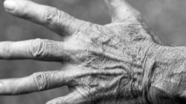 Is There a Herbal Treatment for Parkinson's Disease? - Chromatography Investigates