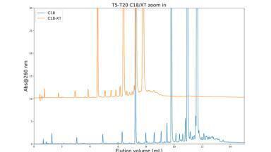 Oligonucleotide separations with Kromasil RP phases