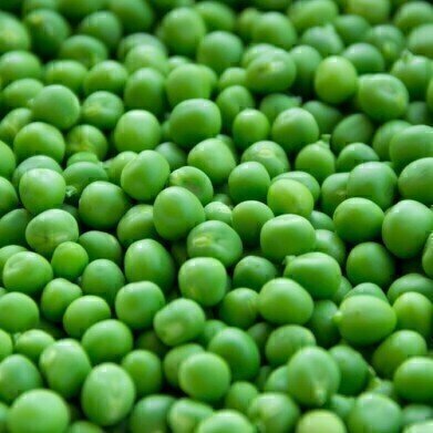 How to Improve the Flavour of Pea Protein? - Chromatography Investigates