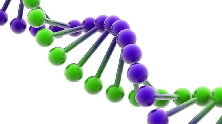 Oligonucleotide Separations with RP Phases