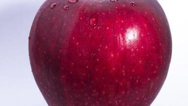 Should We Be Worried About Patulin? - Chromatography Explores