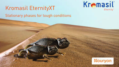 Boost your preparative chromatography results with the best in class stationary phase