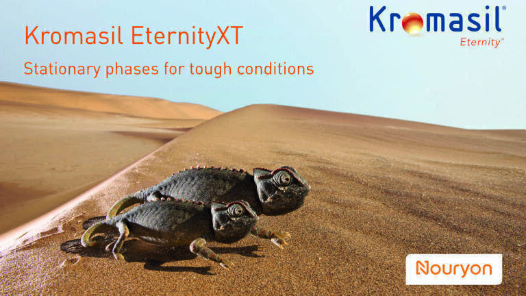 Boost your preparative chromatography results with the best in class stationary phase
