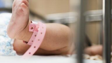 What is Dried Blood Spot Testing? - Chromatography Explores