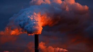 Chromatography Takes a Closer Look at Pollution & Cognitive Behaviour