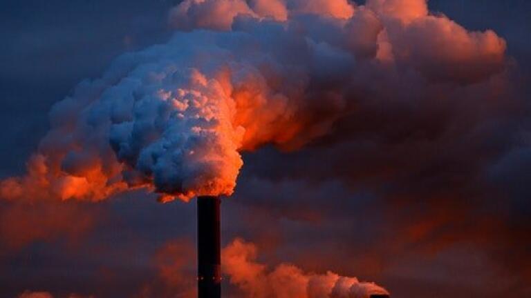 Chromatography Takes a Closer Look at Pollution & Cognitive Behaviour