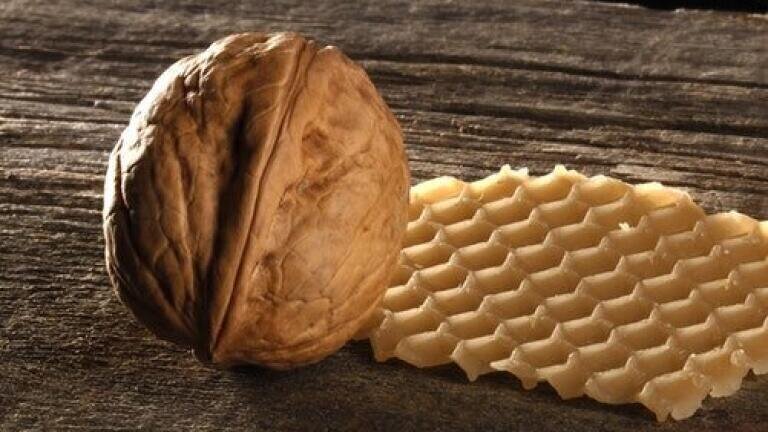 Enriching Food Products with Nut Shots - Chromatography Explores