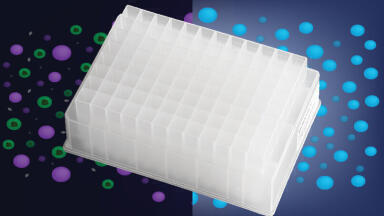 Highly Effective Protein Clean-Up Microplate