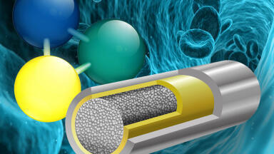 Facile LC-MS/MS Analysis of sphingolipids Using Metal-free Column