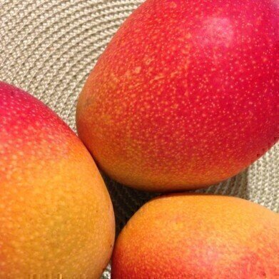 Chromatography Assesses the Nutritional Value of Mango