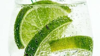 Want to Infuse Gin? - Chromatography Explores