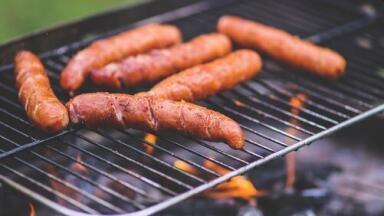 Chromatography Sniffs Out the Flavours in Sausages