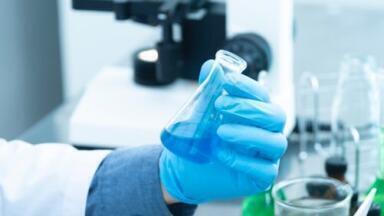 Can an Arabian Leaf Extract Heal Wounds? - Chromatography Explores