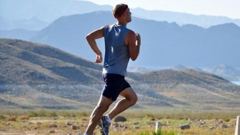 Does Running Reduce the Availability of Healthy Fats? - Chromatography Explores