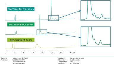 Ideal Solution for Any Kind of Biomolecule: New (U)HPLC Widepore Columns for Peptides and Proteins