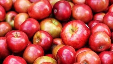 How Do Artificial Flavours Affect Apples? - Chromatography Investigates