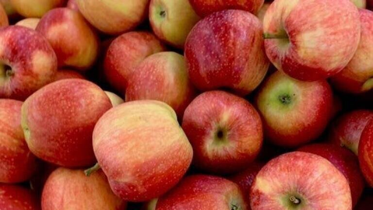 An Apple a Day - Chromatography Analyses Pesticide Residues