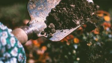 How Can Ion Chromatography Help with Soil Analysis?