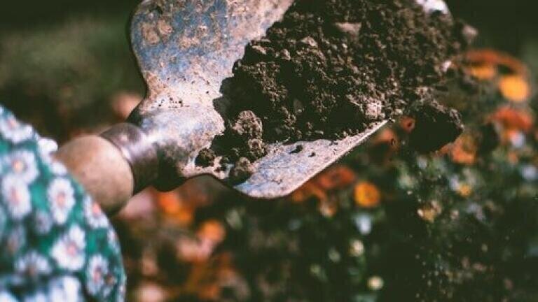 How Can Ion Chromatography Help with Soil Analysis?