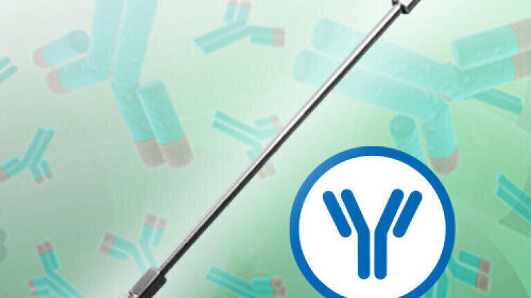 Analysis of commercial monoclonal antibodies by microLC-MS/MS