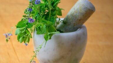 Searching for Drugs in Culinary Herbs with the Help of Chromatography