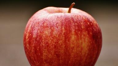 What Makes the Perfect Apple Flavour? - Chromatography Explores