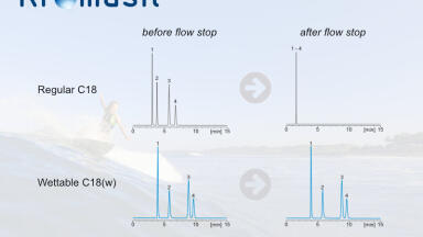 A Wettable HPLC Phase Explained