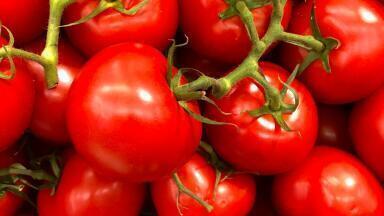 Chromatography Explores How to Get the Most Lycopene from Tomatoes