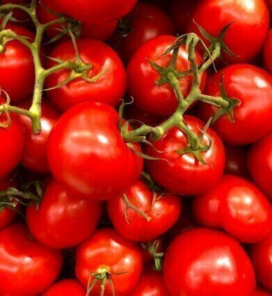 Chromatography Explores How to Get the Most Lycopene from Tomatoes