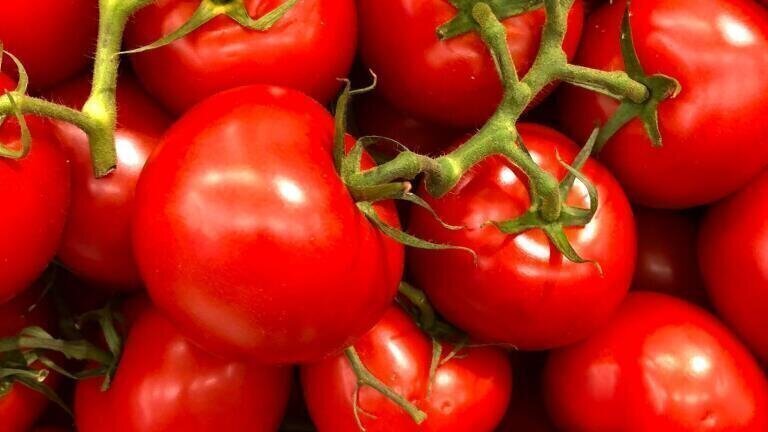 Chromatography Explores How to Get the Most Lycopene from Tomatoes