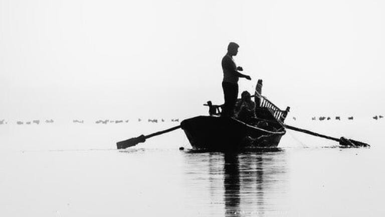 Do Inedible Fish Parts Have Antiallergic Properties? - Chromatography Explores