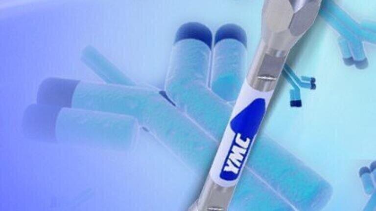 Analysis of oxidised monoclonal antibodies using YMC's BioPro HIC BF