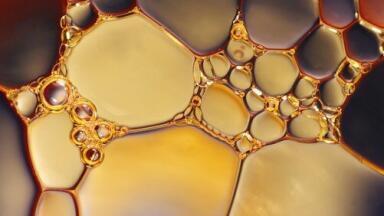 What's in Your Squirty Cream? - Chromatography Explores
