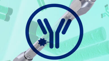Native online HIC-MS analysis of monoclonal antibodies and cys-linked ADCs