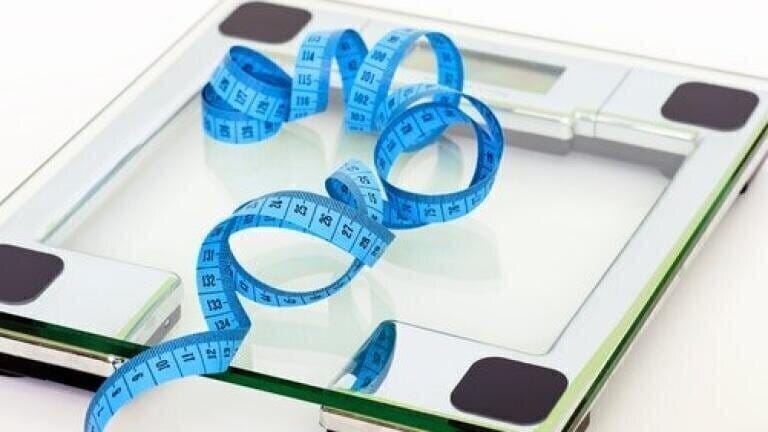 Do Phthalates Increase the Risk of Obesity? - Chromatography Investigates
