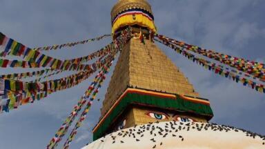 Evaluating Nepal's Roasted Mustard Oil - Chromatography Explores