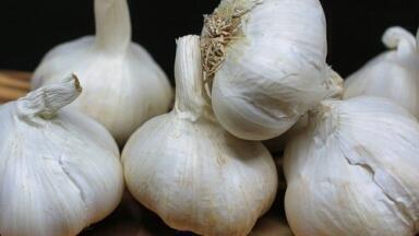 Can Chromatography Maximise Garlic's Antioxidant Qualities?