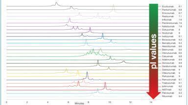 MS compatible charge variant analysis of 28 commercial monoclonal antibodies by CEX