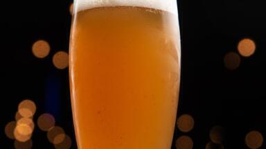 What Gives Hoppy Beers Their Fruity Aroma? - Chromatography Explores
