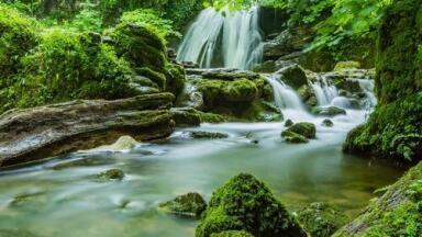 How Do Jungles Affect Global Warming? - Chromatography Investigates