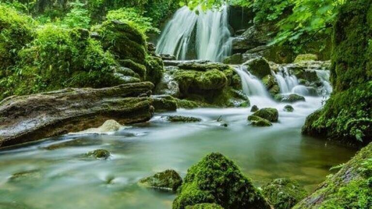 How Do Jungles Affect Global Warming? - Chromatography Investigates