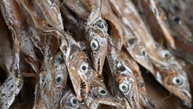 Are Dried Fish Products from India Safe to Eat? - Chromatography Investigates
