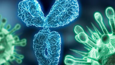 Analysis of Bevacizumab (Avastin) by SEC-MALLS