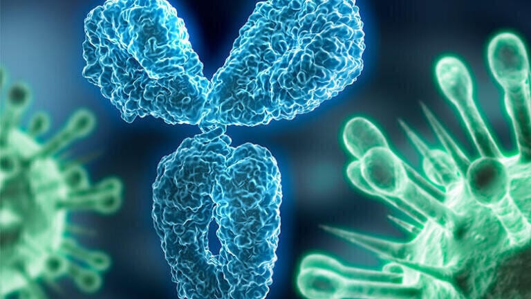 Analysis of Bevacizumab (Avastin) by SEC-MALLS