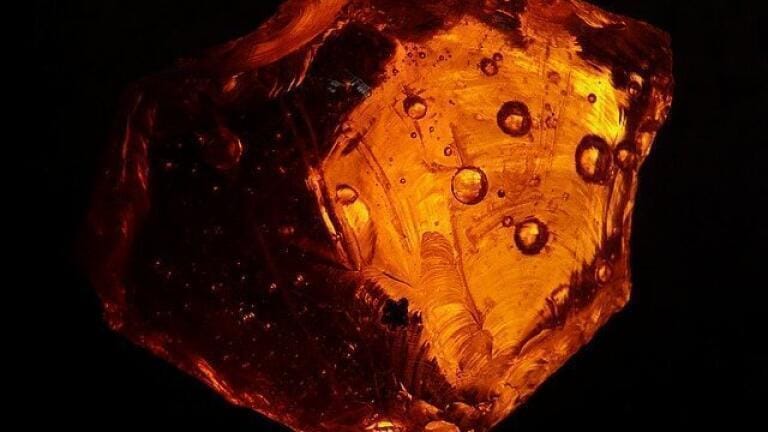 Can Baltic Amber Tackle Antibiotic Resistance? - Chromatography Explores